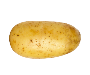 Pateto